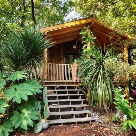 Camping Aux Couleurs Du Ferret Lege-Cap-Ferret Exterior photo