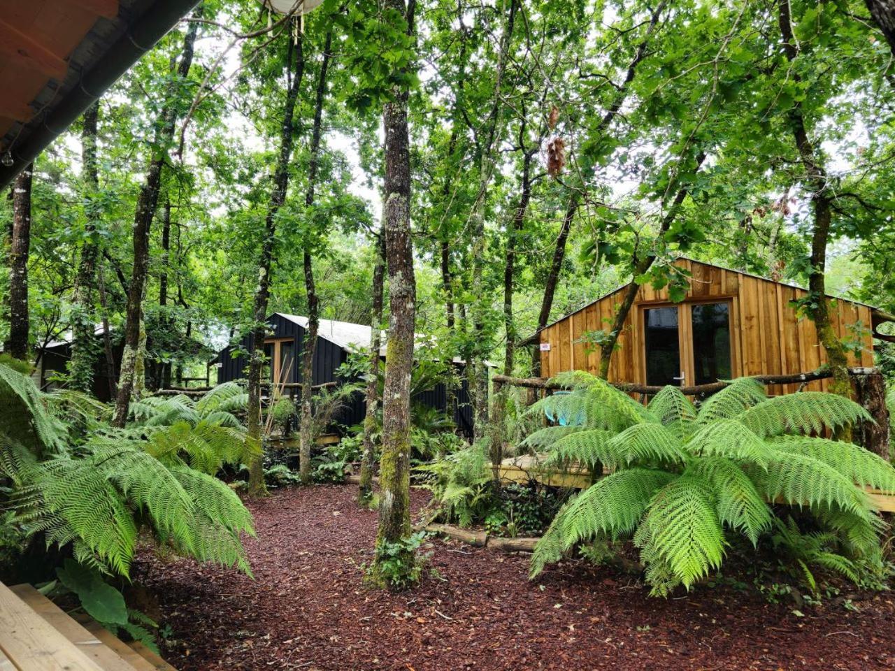Camping Aux Couleurs Du Ferret Lege-Cap-Ferret Exterior photo