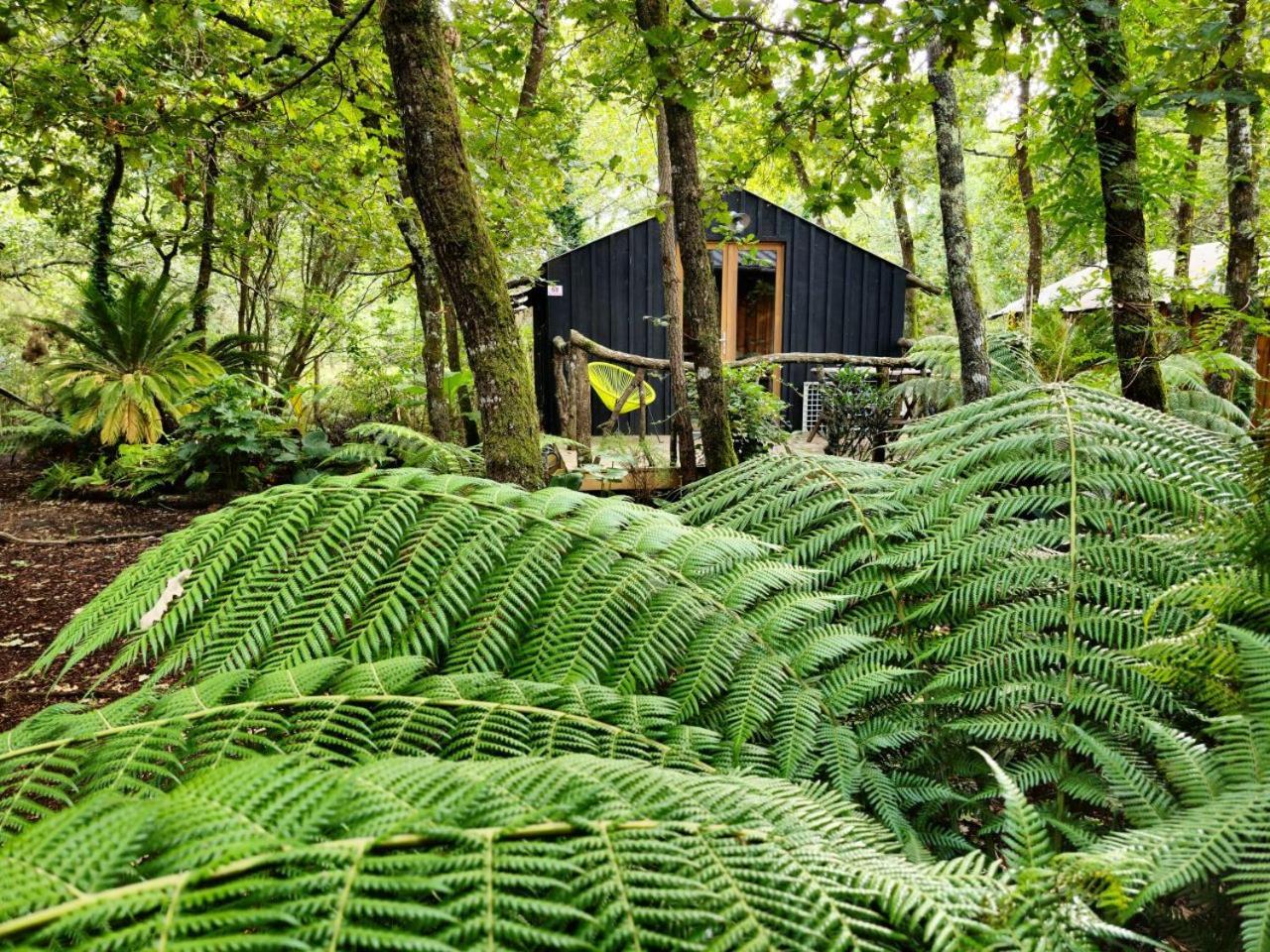 Camping Aux Couleurs Du Ferret Lege-Cap-Ferret Exterior photo